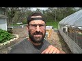 How to make LIQUID ORGANIC FERTILIZER for CHEAP with this COMPOST TEA BREWER!
