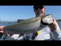 Summer King Salmon TAKEDOWNS On The Willamette River