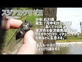 日本のセミ 鳴き声集『16種のセミ』【2022年バージョン】