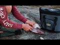 Fishing from a Huge Cliff! Catch and Cook