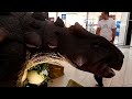 dino show in doha city center part 4