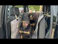 Best Dog Seat Cover For Trucks With Flip Up Rear Seats - Crew Cab Pickup Large Dogs Back Seat Cover