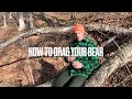 How to HUNT BLACK BEARS without HOUNDS or BAIT