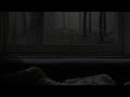 Sleep Under A Window During A Thunderstorm - 1 hour heavy window rain sound for Sleep