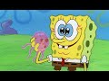 Bob Esponja | Guia de Treinamento de Água-viva do Bob Esponja! | Bob Esponja em Português