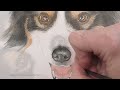 How to Paint a Realistic Dog Nose in Watercolor