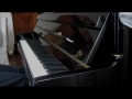 Taio Cruz - Break Your Heart (piano cover)