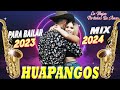 HUAPANGOS Pa BAILAR 2024 💃🏽🥰 huapangos mix 💃🏽 cumbias norteñas 2024