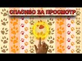 ПОБЕГ ИЗ СНЕЖНОЙ ТЮРЬМЫ ЧЕЛЛЕДЖ! КОШКУ МУРКУ ЗАПЕРЛИ В ЯЩИКЕ! КТО ПЕРВЫЙ ВЫБЕРЕТСЯ КОТ или КОШКА