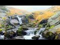Естественный звук медитации водопада и звуки птиц