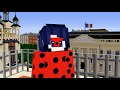 Minecraft MIRACULOUS 🐞 QUEEN BEE TEAMWORK! 🐞 Ladybug and Cat Noir in Minecraft / Animation