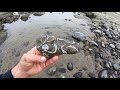 Rockhounding the Oregon coast