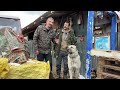 40000 EURO PRICE KANGAL DOGS | AWASOME  QUALITY !!!