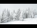 4K HDR 10 hours - Snowing on trees - relaxing, gentle, calming