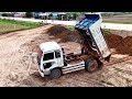 Full Video First Truck and Bulldozer D20P Filling Up Land Huge & Unloading