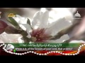 Surah Rahman - Beautiful and Heart trembling Quran recitation by Syed Sadaqat Ali [HD 720p]