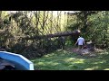 Felling a Large Fir Tree with 70's Jonsereds 80.