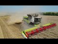 4k🇧🇬-John Deere X9 1100 VS Claas 8900TT - The best combains! 🌾🌻🌽