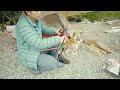 Solo Camping with my Dog . Light Rain . Relaxing Lake ASMR