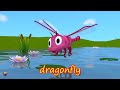 Learn insects for kids kindergarten – educational cartoon for babies and toddlers