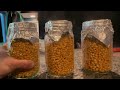 How To Sterilize Grain Spawns Without A Pressure Cooker | The Grateful Gardener