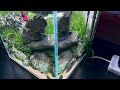 BETTA FISH TANK SETUP | IWAGUMI AQUASCAPE FOR BETTA FISH | AQUASCAPING TUTORIAL | NANO AQUARIUM