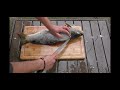 HOW TO CLEAN AND FILLET THE CARP * PART1 #carp #howtocleanfish #fishfillet