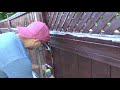 How To Fix A Leaning Fence Post-Easiest Method