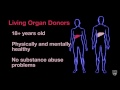 Mayo Clinic Minute: Living donor organ transplants