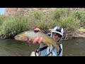 Fly Fishing in Remote Central Idaho Day 2 - I Found Cutthroat!