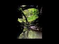 Fieldrecording I Search for silence I Natural Wetland Soundscapes I Audio Technica BP4025 I Zoom F6