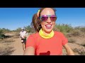 NO PAIN: Racing 62 Miles In The AZ Desert | Javelina 100K