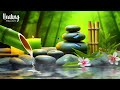 Relaxing Music 24/7, Stress Relief Music, Sleep Music, Meditation Music, Study, Calming Music