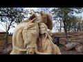 AMAZING CHAINSAW wood carving, Native American girl with horse and eagle