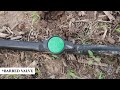The Easiest Drip Irrigation Installation Ever | Step By Step Automatic Watering System For Garden