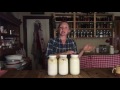 Homestead Dairy - Clabbered Milk