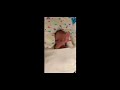 Baby born @ 26 Weeks Into Pregnancy Video of Baby @ ~ 2 Weeks Old