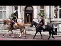 SPECTACULAR ROYAL HORSES PASS LONDON'S MOST ICONIC LANDMARK