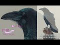 Crow Painting in Watercolor (Real time on Patreon 7hrs)