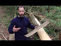 How To Harvest Cedar Bark For Weaving - Nick McMillen