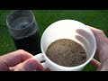 EXTREME FLOWERING with this HOMEMADE fertilizer from 2 household waste - Homemade fertilizer