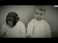The Dark side of Science: The Horror of the Ape and The Child Experiment 1932 (Short Documentary)