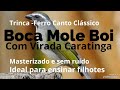 Canto Boca Mole Boi Com Virada Caratinga Para Aprendizado de Filhotes de Trinca-Ferro