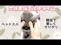 【ロシアンブルー】18歳ろちに密着#ロシアンブルー #老猫