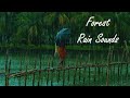 Tropical rain with High Quality sounds - Relaxing Nature Sounds