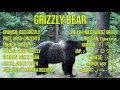 Zoo Animals for Kids - Videos and Sounds of Wild Animals at the Zoo for Children to Learn