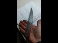 Hand forged , mini musso bowie knife