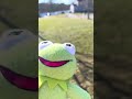 Kermit retires from the Kermit league 😭