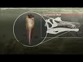 Spinosaurus Fishes for Prey | Planet Dinosaur | BBC Earth