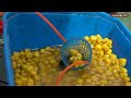 Des Shipp's Corn Fishing Tips! | Des Shipp